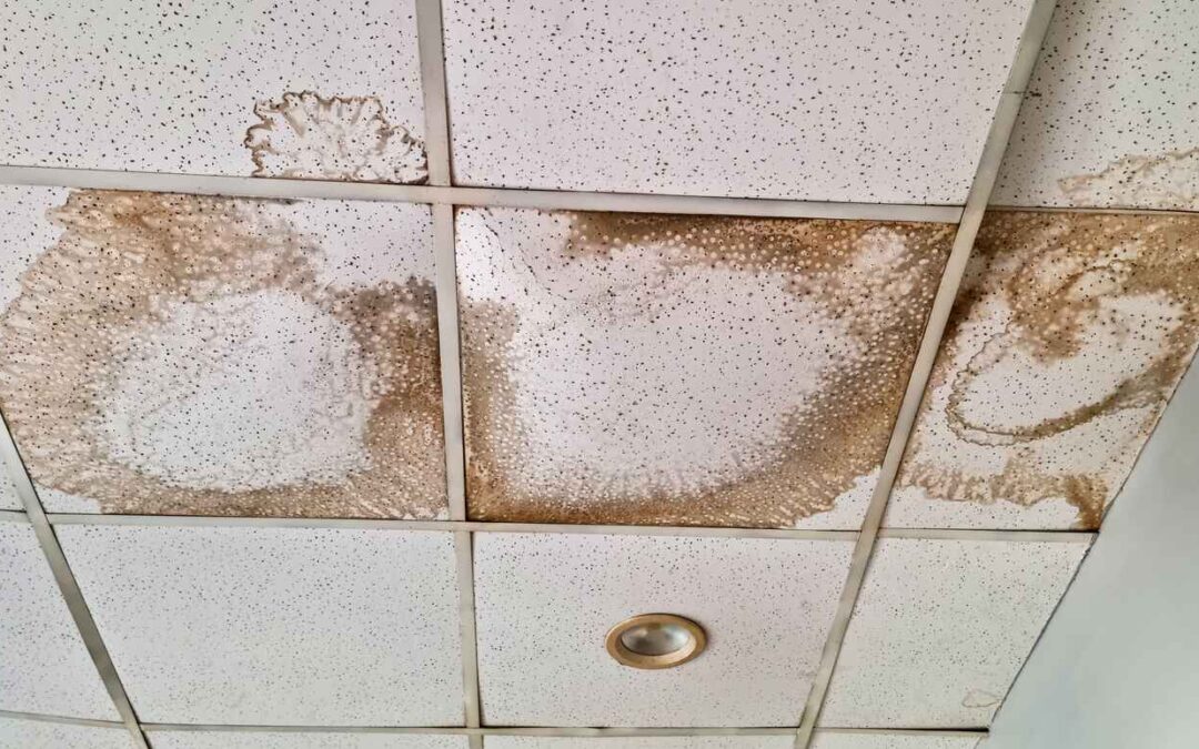 10 Signs It’s Time for a Retail Roof Replacement